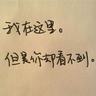 宠物知识讲解员工作